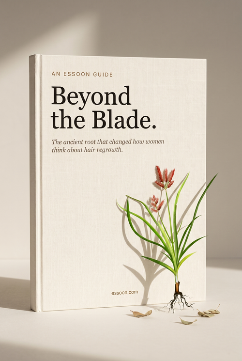 Beyond the Blade EBook