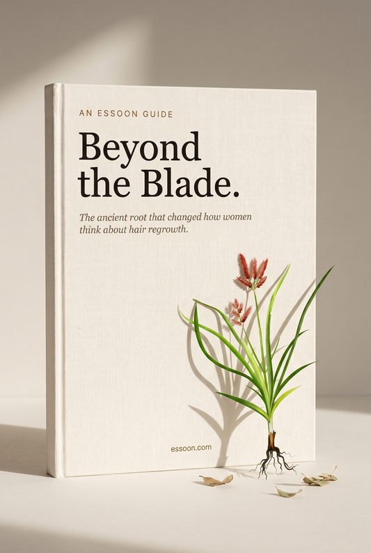 Beyond the Blade EBook